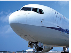 ANA���ې��q��